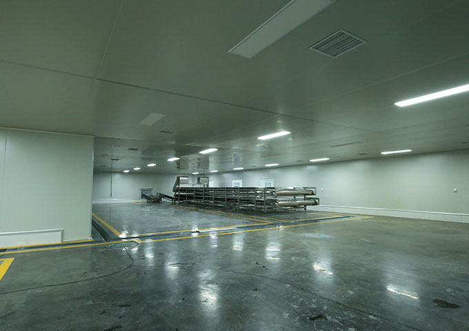 四川省牛丫牛食品有限公司厂房装修现场——毛肚制品厂