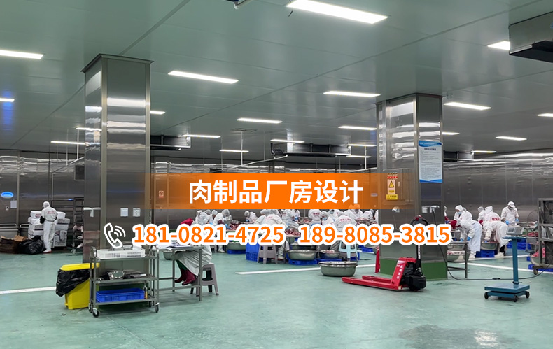 鱼肉加工厂设计建造指南：从蓝图到高效生产线的全流程解析