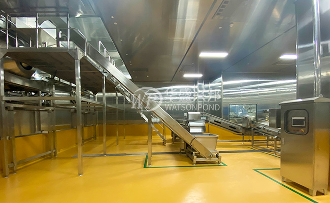 榨菜工厂高效运转的六大核心设计原则-四川华盛兴邦工程设计公司