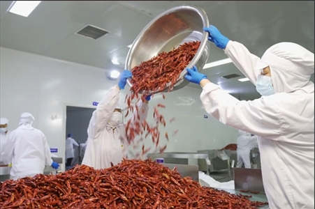 调味品厂房设计：零死角卫生管理，打造微生物防控壁垒