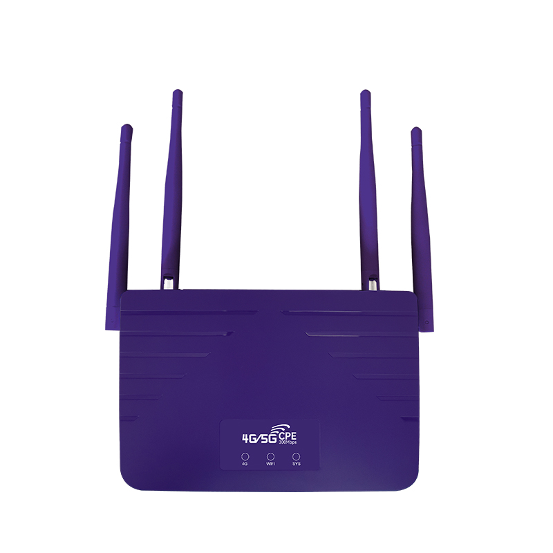 R810 4G LTE WIFI indoor Router