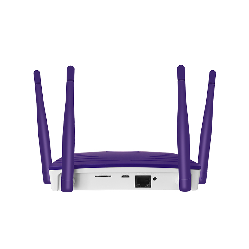 R810 4G LTE WIFI indoor Router