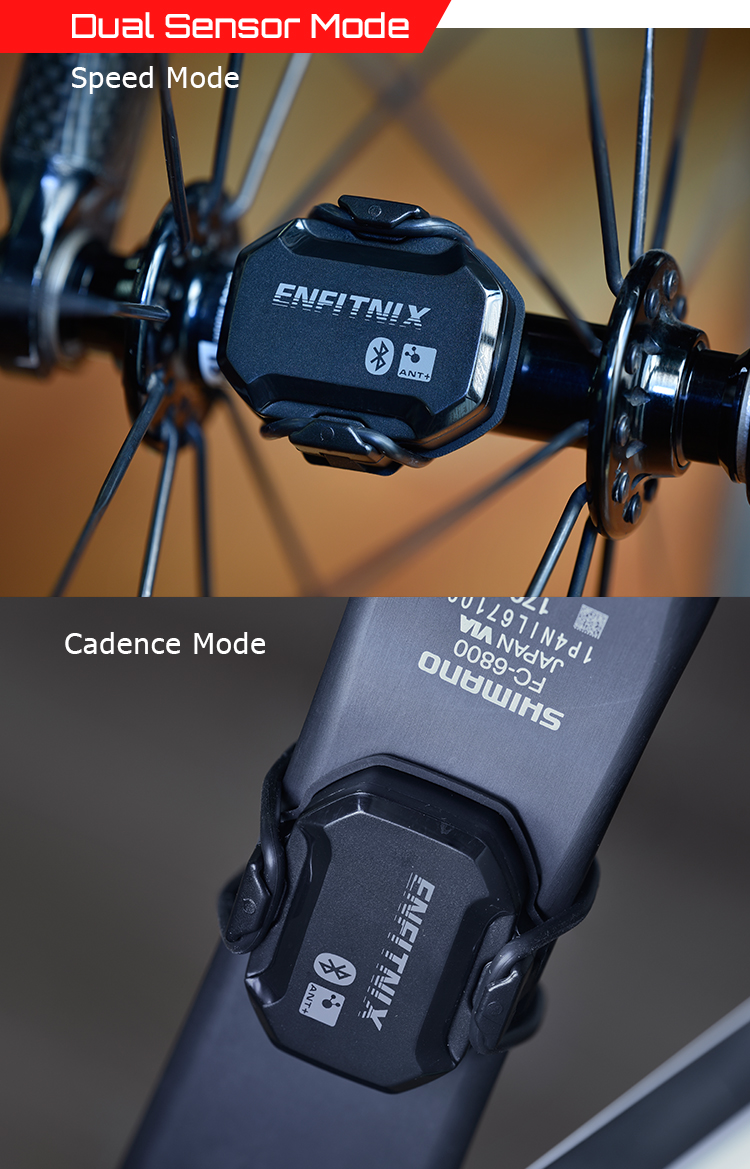 TM100 Cadence/Speed Sensor