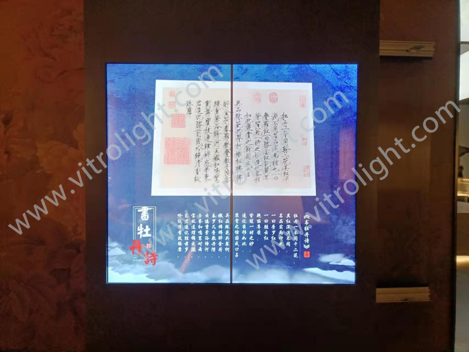 河南洛阳牡丹博物馆1x2拼接OLED