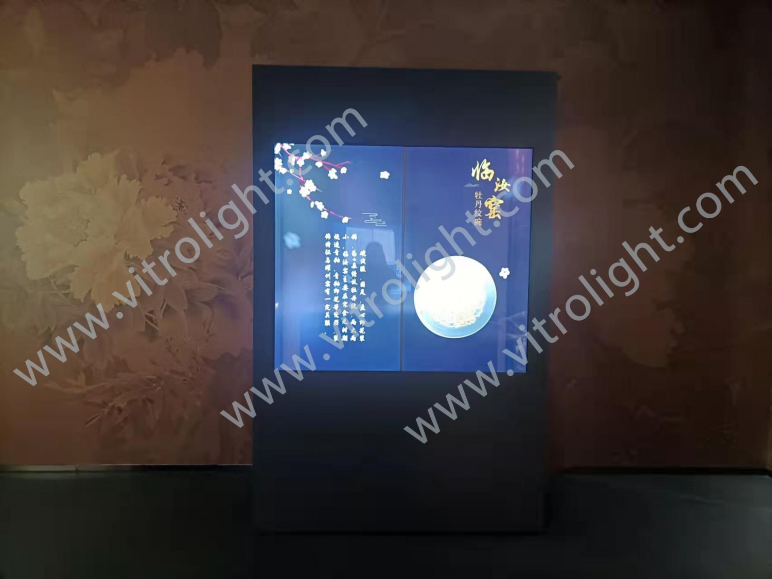 河南洛阳牡丹博物馆1x2拼接OLED
