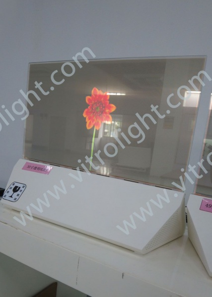 30寸透明OLED