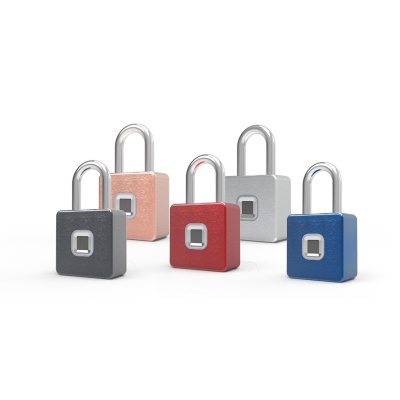 Fingerprint Smart Lock