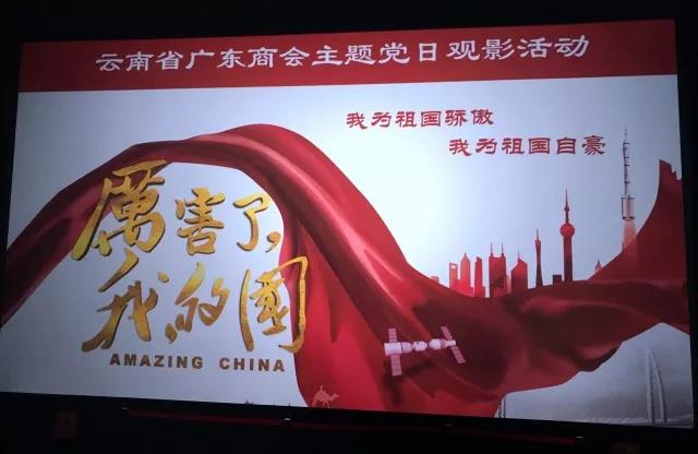 云南省广东商会 开展主题党日观影活动