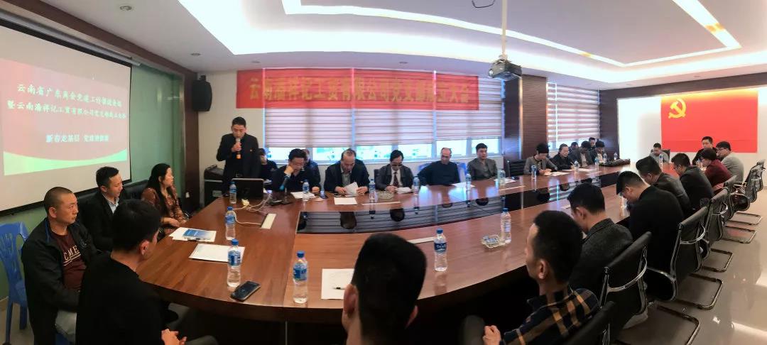 新春走基层    党建谱新篇 —云南省广东商会党总支主题党日活动异彩纷呈