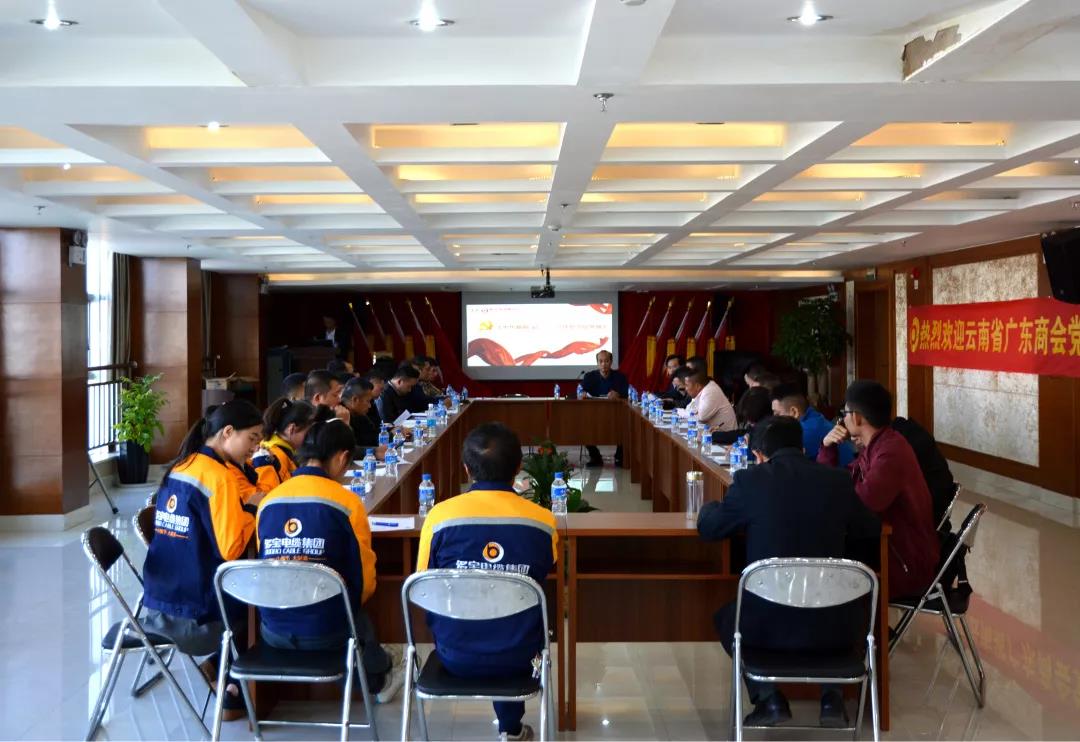 云南省广东商会党总支与云南省多宝电缆集团党支部开展主题党日活动