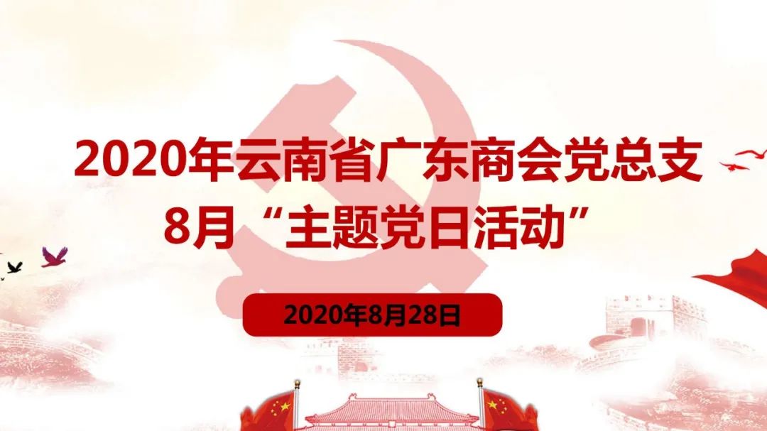 云南省投促局领导参加广东商会主题党日活动并讲党课