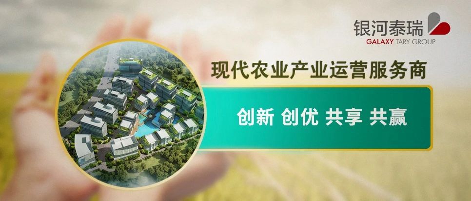文山州粤港澳大湾区菜篮子项目快讯 | 粤港澳大湾区菜篮子数字农业直供基地（第二批）