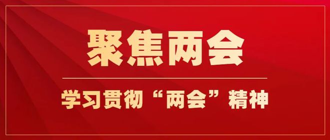 广东商会党总支学习贯彻“两会”精神发展