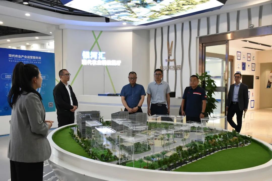 合作共建，赋能保山现代农业 | 保山市永昌投资开发（集团）有限公司一行莅临银河泰瑞交流洽谈