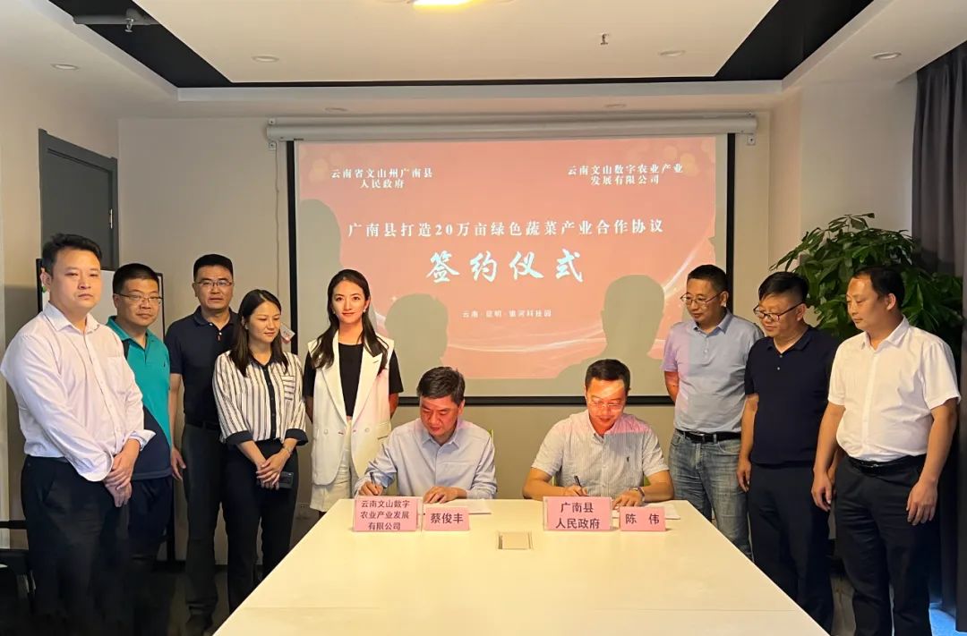广东商会会长单位——银河泰瑞集团携手文山州广南县共同打造20万亩绿色蔬菜产业