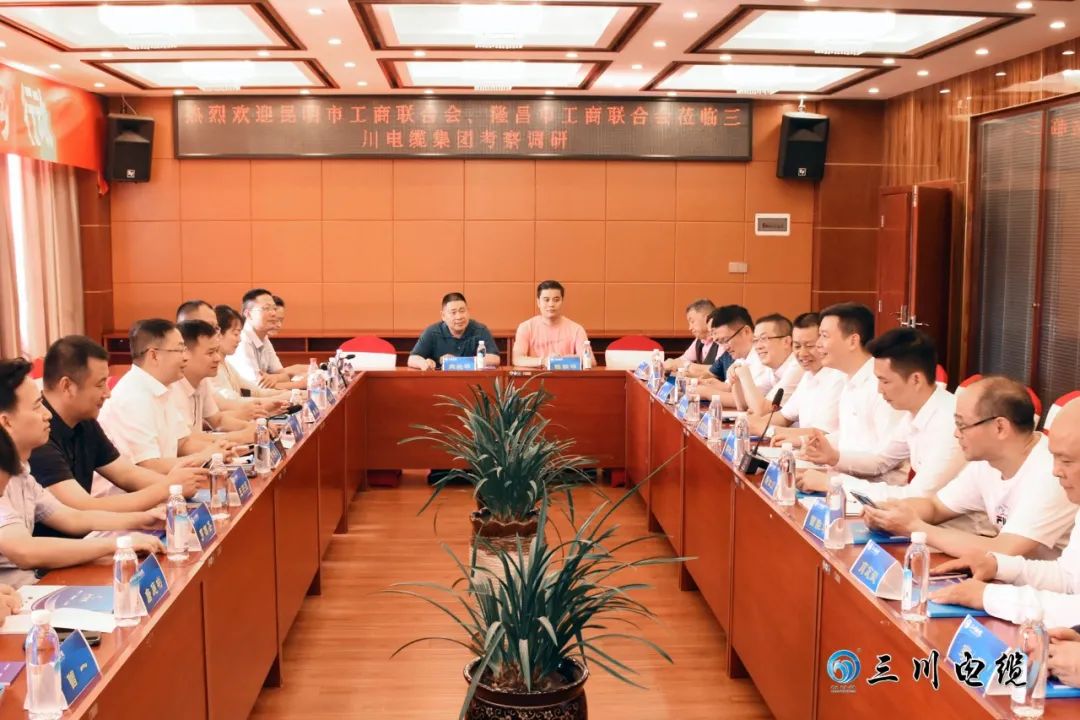 隆昌市委常委、统战部部长李济兵率队莅临三川电缆调研考察