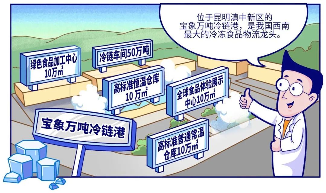 亚洲最大！多宝电缆为宝象万吨冷链港供货