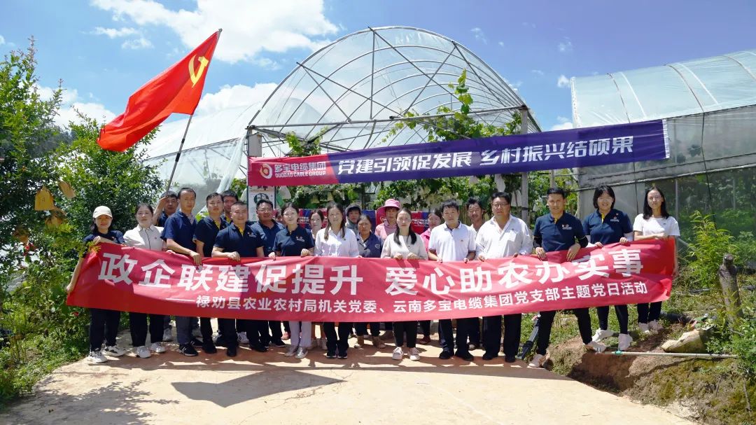 党建引领促发展 乡村振兴结硕果丨多宝电缆集团七月爱心助农主题党日活动圆满举办