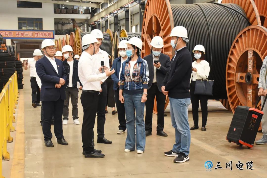 昆明市优化营商环境工作领导小组莅临三川电缆进行专项调研督查营商环境有关工作