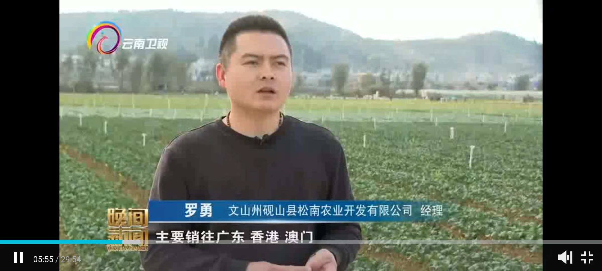 广东商会副会长企业——松南农业开发有限公司 接受云南电视台采访