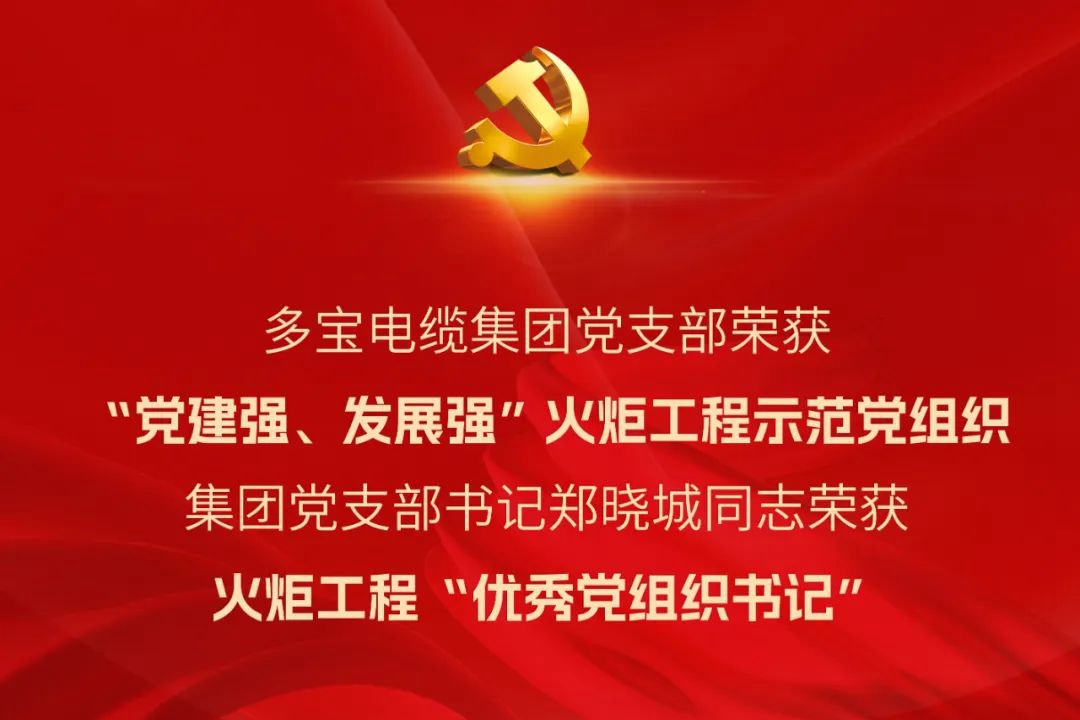 喜报丨多宝电缆集团党支部和支部书记荣获高新区“党建强、发展强”火炬工程示范对象表彰
