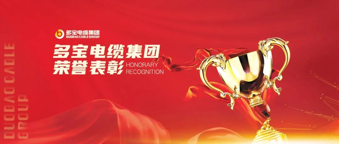 季度表彰丨凝聚榜样力量，谱写多宝乐章