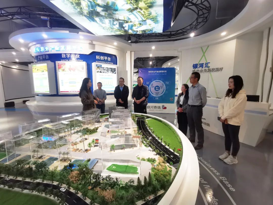 昭通市投资促进局领导一行莅临银河泰瑞考察
