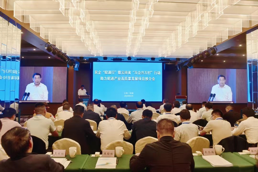 广东商会参加云南省“万企兴万村”行动现场推进会