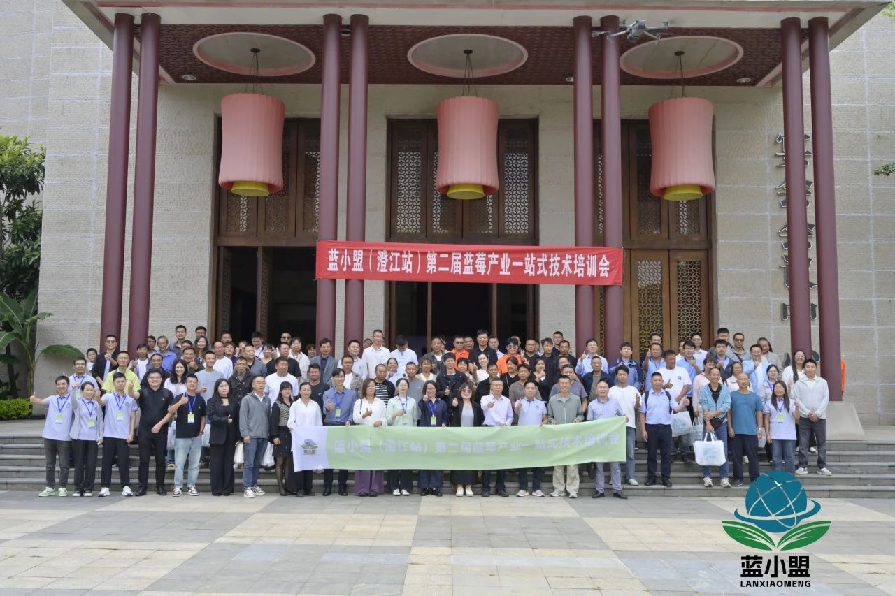 雷马农膜参加蓝小盟蓝莓产业技术培训会