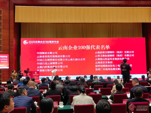 广东商会多家企业上榜2025云南企业100强
