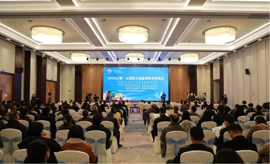 广东商会参加元谋第九届蔬菜种业博览会