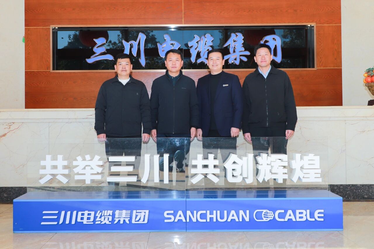 共青团云南省委副书记李庆光到三川电缆调研