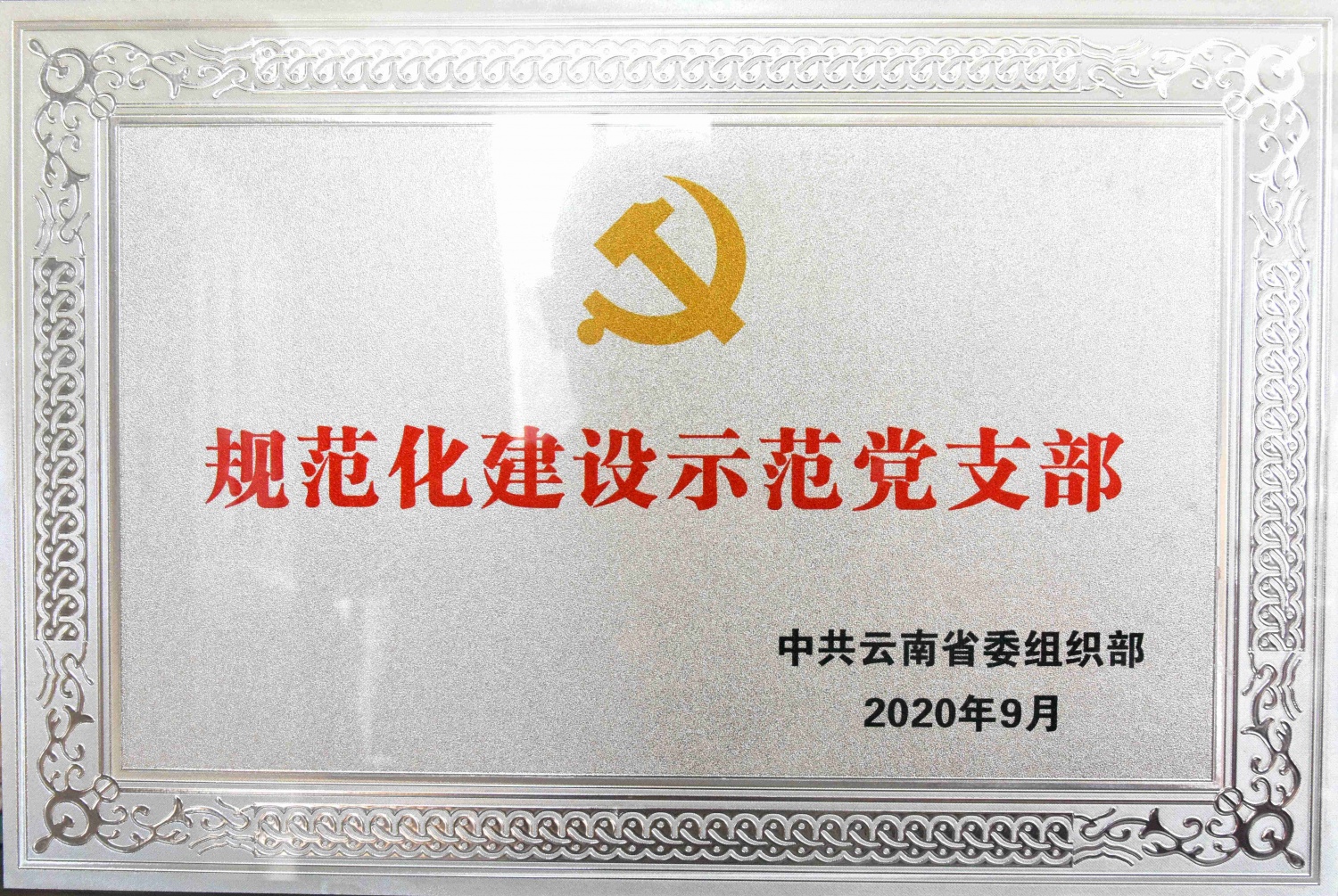 规范化建设示范党支部