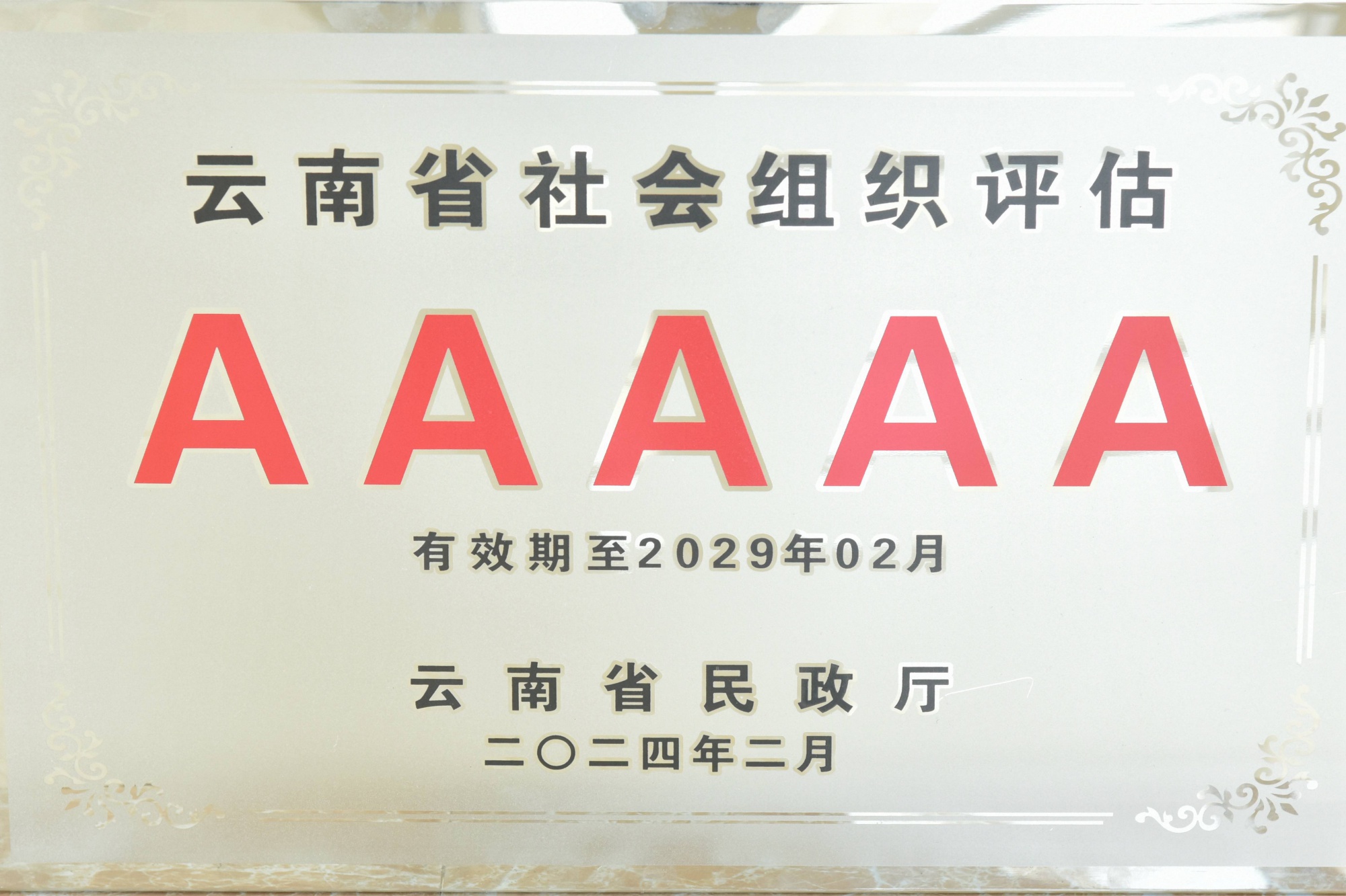 2024 -2029 5A级社会组织