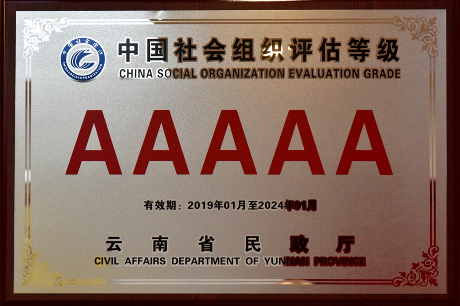 2019-2024   5A级社会组织