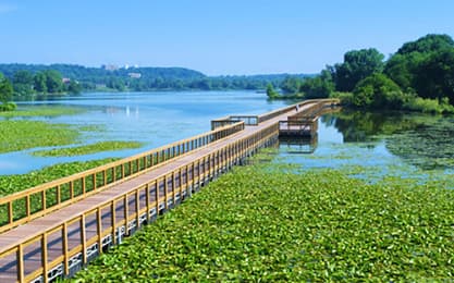 floating bridge, waterfront landscape