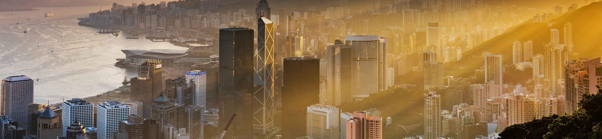 图片展示