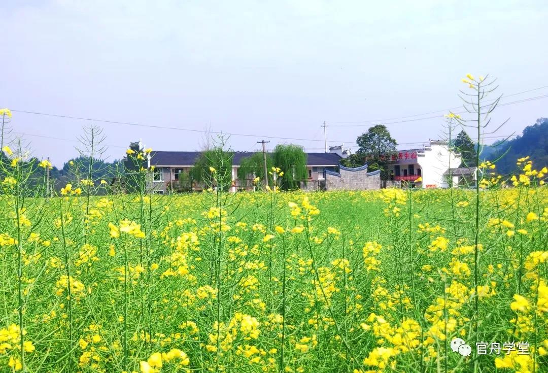 官舟学堂的艺术乡建实验手记