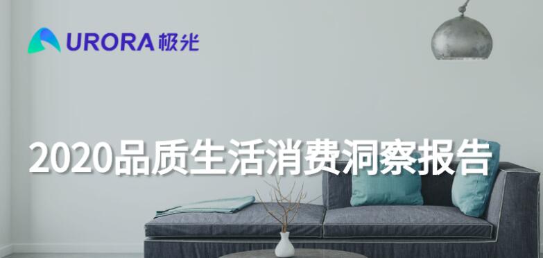 2020品质生活消费洞察报告