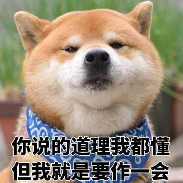 【95后小白炒股日记】2020.6.5：当花钱买教训了
