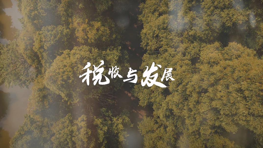 税收与发展