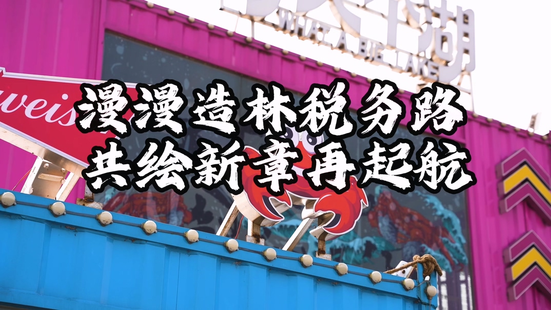 漫漫造林税务路 共绘新章再启航