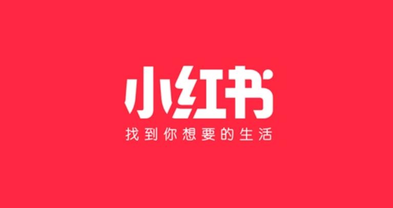 闻道中国 + 小红书