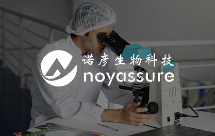 响应式官网建设