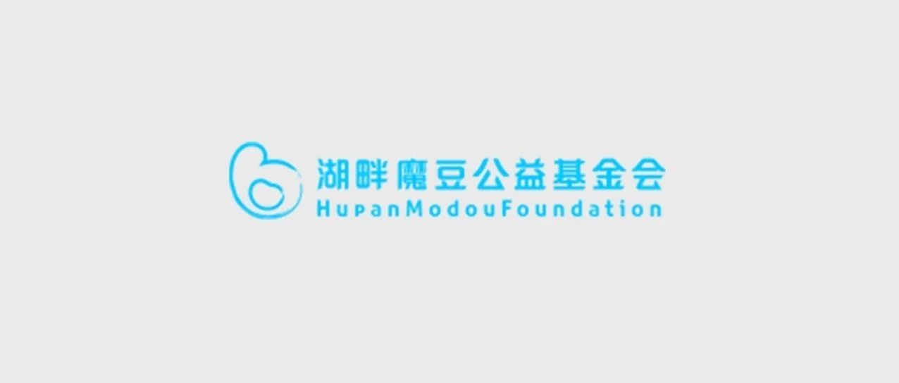湖畔魔豆基金会，因爱而生