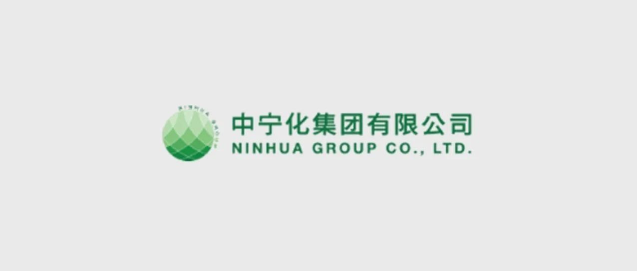 飞色助力中国对外贸易民营企业500强“中宁化集团”搭建官网
