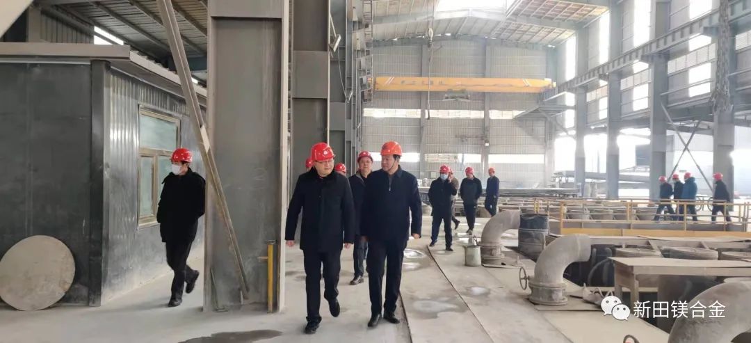宝钢金属与南京云海一行来我公司考察金属镁...