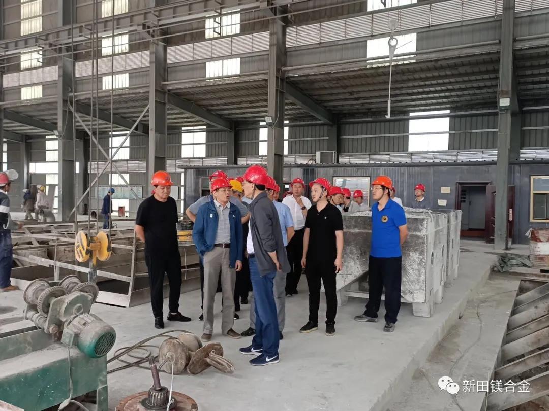 省决策咨询委员会一行到我公司调研镁基新材...