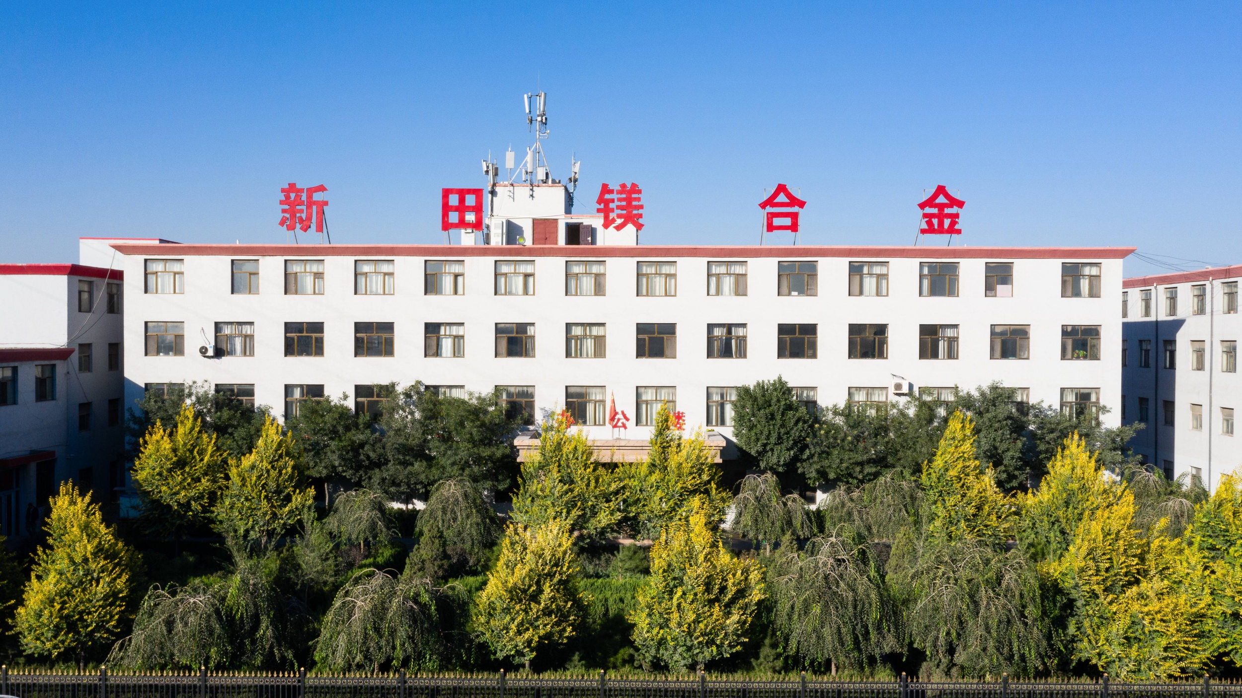 图片展示
