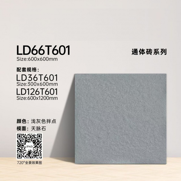 MS66T601 Full body floor tiles